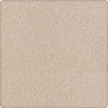 Karastan Smartstrand Silk Luxurious Beauty Vintage 43629-9726