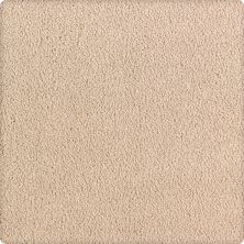 Karastan Smartstrand Silk Luxurious Beauty Winter Oak 43629-9732