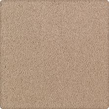 Karastan Smartstrand Silk Luxurious Beauty True Khaki 43629-9767