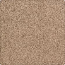 Karastan Smartstrand Silk Luxurious Beauty Easily Suede 43629-9831