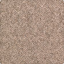 Karastan Smartstrand Silk Rustic Revival Whole Grain 43632-9767