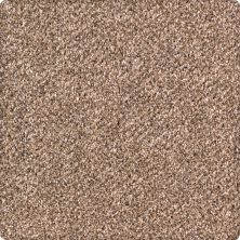 Karastan Smartstrand Silk Rustic Revival Allspice 43632-9771