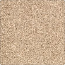 Karastan Kashmere Tranquil Shades Parchment 43636-9741