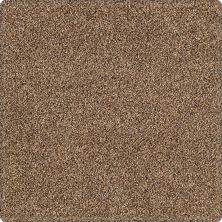 Karastan Kashmere Tranquil Shades Saddle 43636-9855