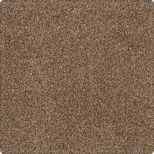 Karastan Kashmere Tranquil Shades Sequoia 43636-9875