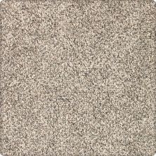 Karastan Smartstrand Silk Desired Elegance Softened Ash 43640-9726