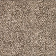 Karastan Smartstrand Silk Desired Elegance Whole Grain 43640-9767