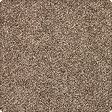 Karastan Smartstrand Silk Desired Elegance Allspice 43640-9771