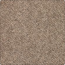 Karastan Smartstrand Silk Desired Elegance Hazelnut 43640-9777