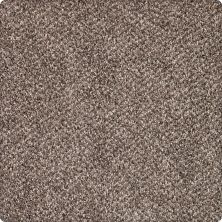 Karastan Smartstrand Silk Desired Elegance Mineral Brown 43640-9789