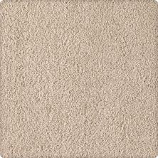 Karastan Smartstrand Silk Soft Eloquence First Choice 43646-9729