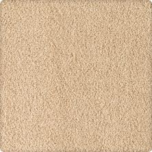 Karastan Smartstrand Silk Soft Eloquence Graceful 43646-9737