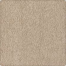 Karastan Smartstrand Silk Soft Eloquence Sometimes 43646-9740