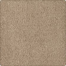 Karastan Smartstrand Silk Soft Eloquence Irish Linen 43646-9779