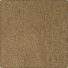 Karastan Smartstrand Silk Soft Eloquence Peyote 43646-9832