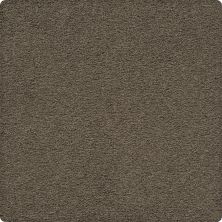 Karastan Smartstrand Artisan Delight Shadywood 43656-9839