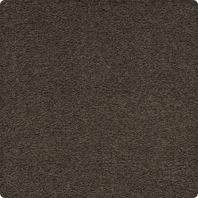 Karastan Smartstrand Artisan Delight Stone Passage 43656-9879