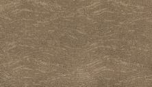 Karastan Smartstrand Silk Untamed Chic Passageway 43657-9775