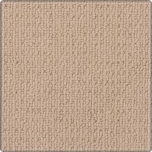 Karastan Smartstrand Silk Avalon Estate Blonde Willow 43665-9738