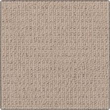 Karastan Smartstrand Silk Avalon Estate Brushwood 43665-9755