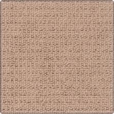 Karastan Smartstrand Silk Avalon Estate Sienna 43665-9771