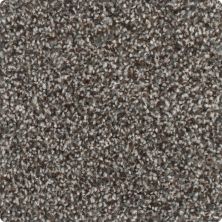 Karastan Kashmere Magnetic Allure Universal Umber 43683-9879