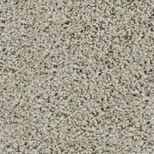 Karastan Smartstrand Noteworthy Style Heathery Tint 43687-9749