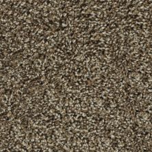 Karastan Smartstrand Noteworthy Style Mesquite Chip 43687-9876