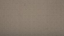 Karastan Smartstrand Luxurious Direction Taupe Whisper 43698-9938