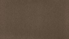 Karastan Smartstrand Captivating Beauty Maple 43704-9849