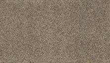 Karastan Smartstrand Enchanting Flair Sonora 43711-9767