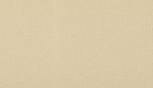 Karastan Smartstrand Nouveau Classic Canvas 43713-9716