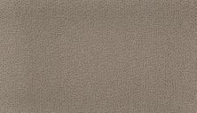 Karastan Smartstrand Inspired Approach Tranquil Taupe 43714-9920