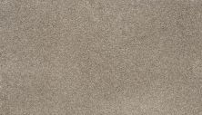 Karastan Smartstrand Luxurious Vision Garden Wall 43730-9775