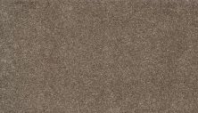 Karastan Smartstrand Luxurious Vision English Toffee 43730-9857