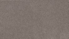 Karastan Somerset Bay Rich Taupe 43741-9942