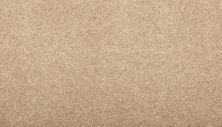 Karastan Smartstrand Maison Chic Ginger 43762-9768