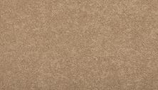 Karastan Smartstrand Maison Chic Fawn 43762-9772