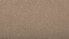 Karastan Smartstrand Maison Chic Taupe 43762-9778