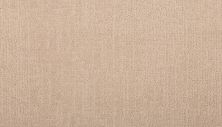 Karastan Smartstrand Delicate Dimension Iceland 43763-9738