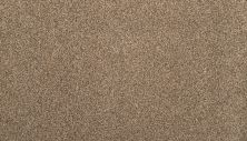 Karastan Kashmere Cordial Memory Sandstone Beige 43787-9822