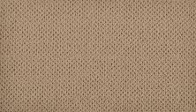 Karastan Smartstrand Intricate Character Burlap 43796-9846