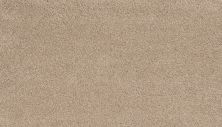 Karastan Smartstrand Silk Charismatic Beauty Isabeline 43800-9724