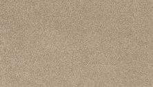 Karastan Smartstrand Silk Charismatic Beauty Almond 43800-9833
