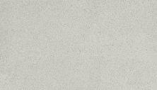 Karastan Smartstrand Silk Charismatic Beauty Cashmere 43800-9902