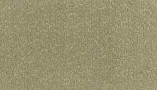 Karastan Smartstrand Silk Fabulous Features Evergreen 43803-9616