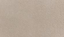 Karastan Smartstrand Silk Fabulous Features Abbey 43803-9711
