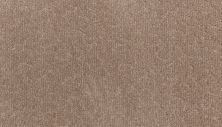 Karastan Smartstrand Silk Fabulous Features Travertine 43803-9733