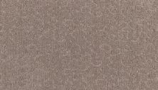 Karastan Smartstrand Silk Fabulous Features Camden 43803-9813