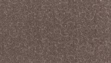 Karastan Smartstrand Silk Fabulous Features Mandela 43803-9843